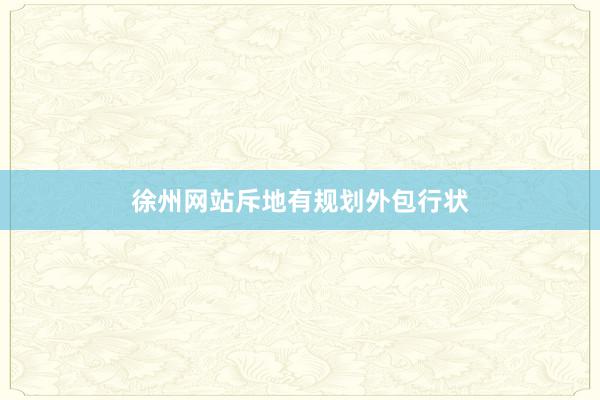 徐州网站斥地有规划外包行状