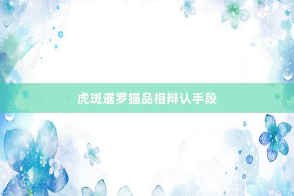 虎斑暹罗猫品相辩认手段