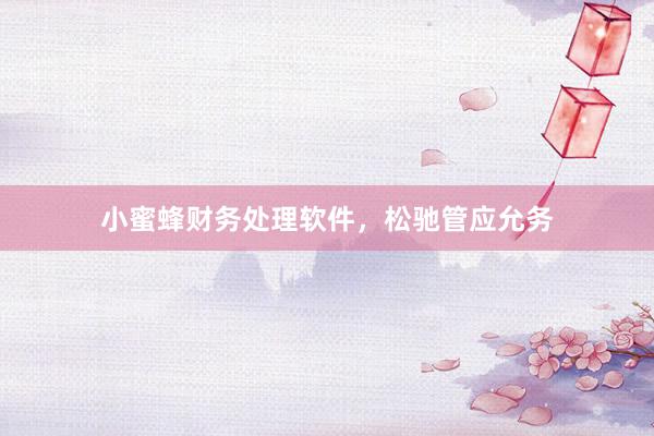小蜜蜂财务处理软件，松驰管应允务